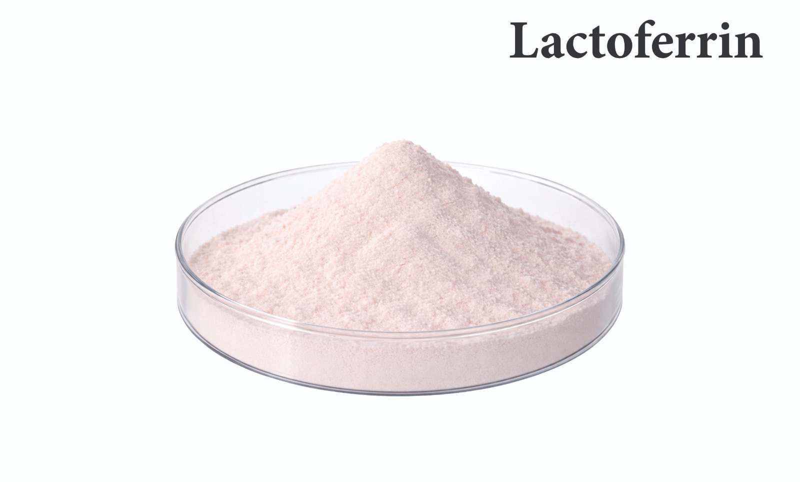lactoferrin
